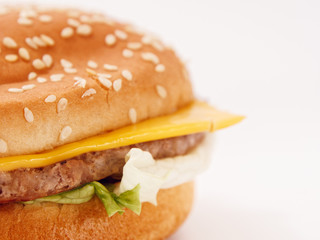 fast food small burger on white background