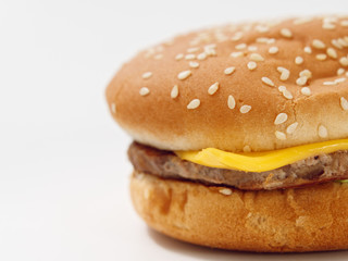 fast food small burger on white background