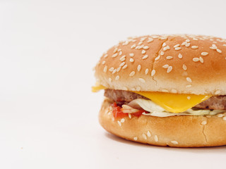 fast food small burger on white background
