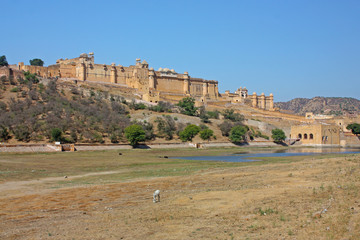Beautiful Amber Fort near Jaipur city in India. Rajasthan