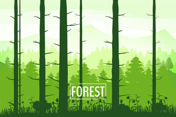 Spring beautiful landscape, forest, silhouettes of tree trunks, green color of foliage. Panorama, horizon, nature. Vector illustration, cartoon style, isolated, banner, template, poster, card