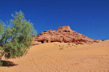 Algeria, Algiers, algerian, desert