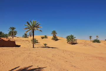 Algeria, Algiers, algerian, desert