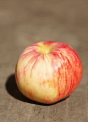 Ripe apple on a gray background.