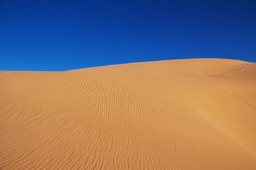 Algeria, Algiers, algerian, desert