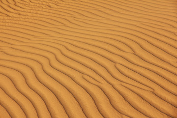 Algeria, Algiers, algerian, desert