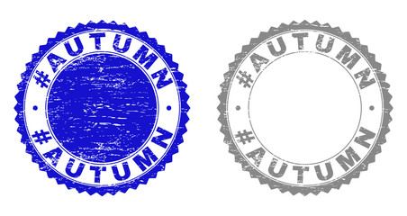 Obraz premium Grunge #AUTUMN stamp seals isolated on a white background. Rosette seals with grunge texture in blue and gray colors. Vector rubber watermark of #AUTUMN label inside round rosette.