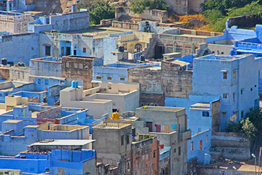 Brahmin Bilder Durchsuchen 3,242 Archivfotos, und