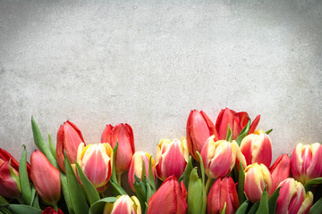 Bunch of tulip, bouquet of flowers for mothers day card. Spring tulips on bright background.