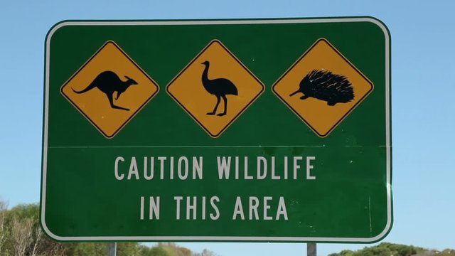 wildlife traffic road sign, kangaroo, emu, echidna, WA, Australia