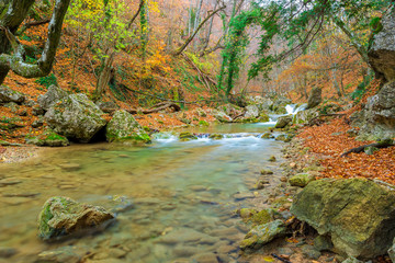 Naklejka na ściany i meble Beautiful autumn landscape, a river flowing into a gorge in the mountains and fallen leaves of trees