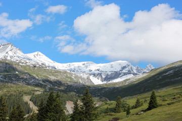 Fototapeta premium Piz Dolf 