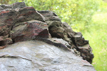 Stein