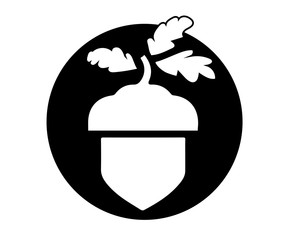 logo acorn in vector outline sketch black white