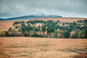 Fototapeta premium Wicklow drive