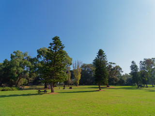 Fototapeta premium Blue sky and green field
