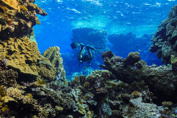 Plakat underwater Coral reef landscape at the Red Sea, Egypt