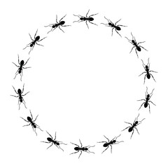 Frame from ants going in a circle. Path ants on circle. Ant trails. Vector illustration