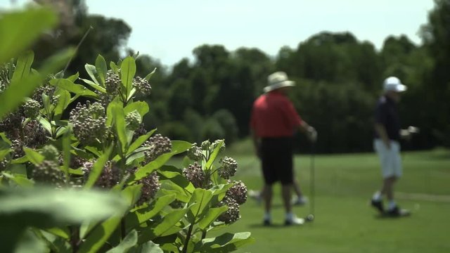 Slow motion shot of golfers out of focus with leaves in focus.