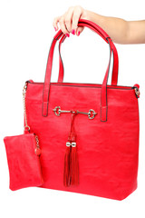 Fashionable women bag in hand on white background