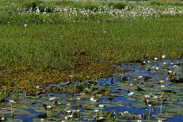 Park Narodowy Kakadu, Australia