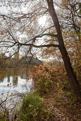 Autumn forest and river against the blue sky