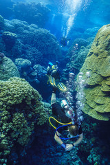 underwater Coral reef landscape at the Red Sea, Egypt