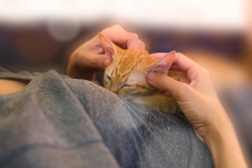 Play with your cat.