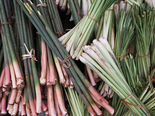 Fototapeta premium Vegetables selling at morning market in Luang Prabang, Laos