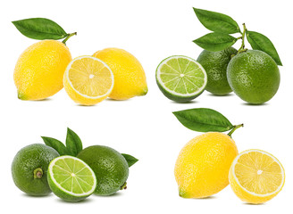 Fototapeta na wymiar Fresh lemon and lime isolated on white background
