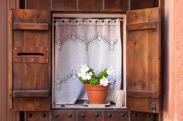 Fenster und Blumentopf