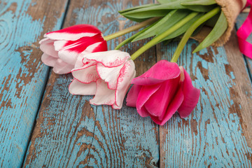 Tulips flowers of wooden boards as a background