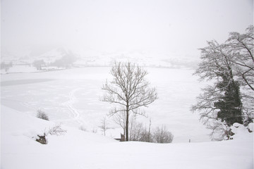 Lauerzersee Gefroren 