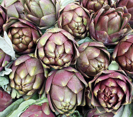 Obraz premium background of large green globe artichokes ready to be cooked fo