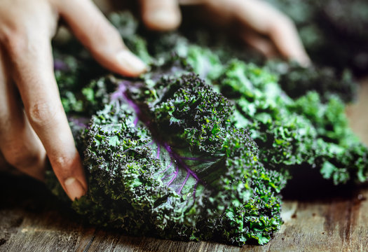 Closeup of fresh green kale