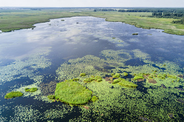 Green boggy lake