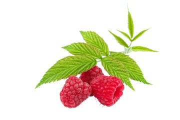 Fruits raspberries isolated on a white background