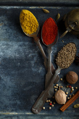Assorted spices on the dark metal tray
