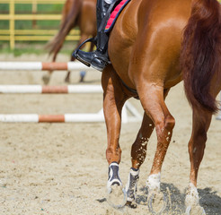 Jockey riding boot in the stirrup