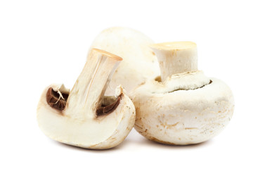 Fresh mushrooms champignons on white background.