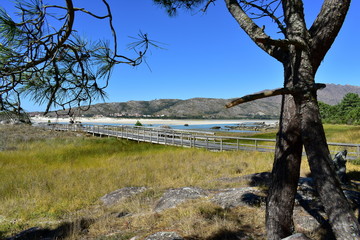 Beach with mountain, lake, wooden boardwalk and pine trees on a sunny day. Playa de Carnota, Coruña Province, Spain.