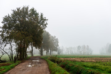 Fototapeta na wymiar Country Road with fog