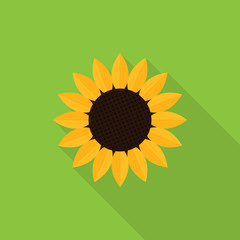 Sunflower icon with long shadow on green background, flat design style