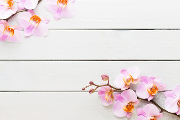Fototapeta na wymiar Orchid flower on the wooden pastel background. Spa and wellness scene.