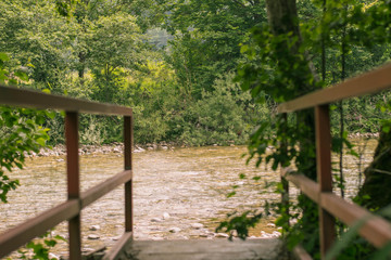 Mountain river. Tranquil scenery in the middle of green forest