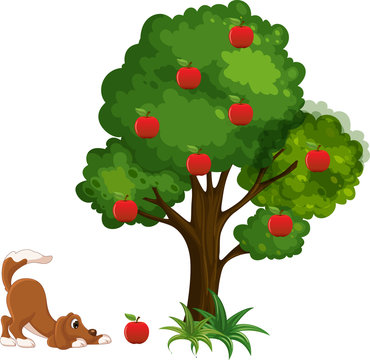 cartoon dog sniffing a red apple fallen from a tree on a white background