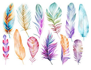 Set of bird feathers. Ease. Watercolor drawing. Natural elements. Pastel shades. Isolated objects on white background.