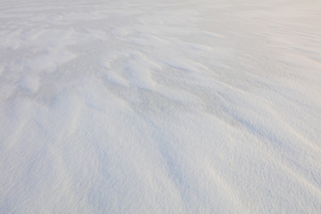 Snow background in nature