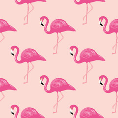 Vector seamless pattern with flamingos