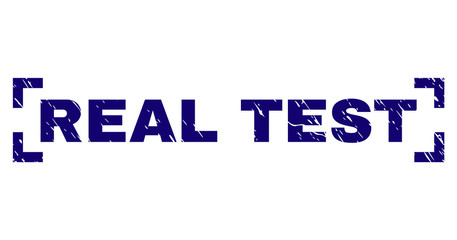 REAL TEST text seal watermark with grunge effect. Text caption is placed between corners. Blue vector rubber print of REAL TEST with grunge texture.